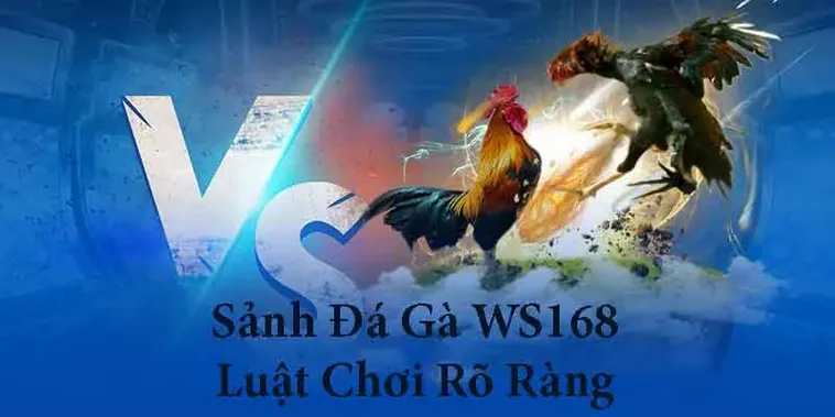 Bí Kíp Chơi Đá Gà WS168 Tại Z8Bet Chắc Thắng Cho Tân Thủ