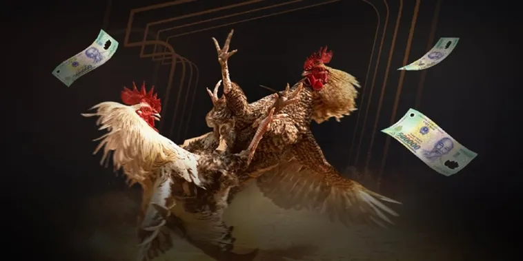 Cùng Khám Phá Thế Giới Đá Gà Z8Bet Đỉnh Cao