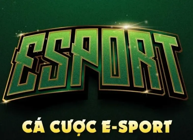 Hướng Dẫn Cách Chơi Thể Thao Điện Tử Tại Z8Bet Chi Tiết Nhất 2 Hướng Dẫn Cách Chơi Thể Thao Điện Tử Tại Z8Bet Chi Tiết Nhất