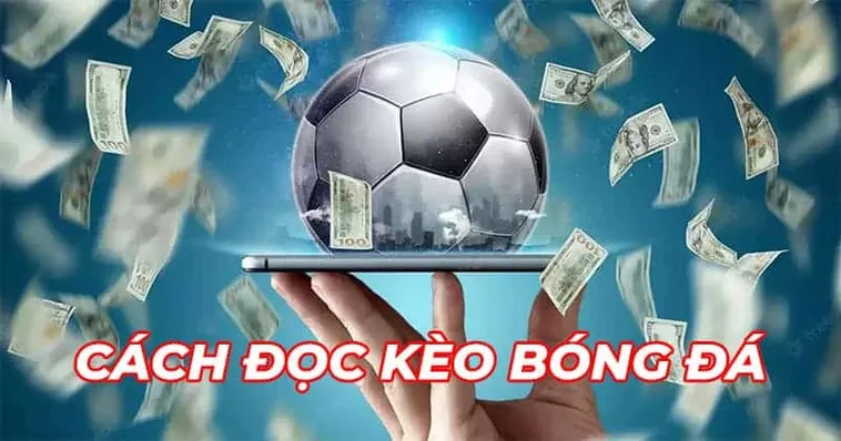 Bí Quyết Cá Cược Bóng Đá Z8Bet Bất Bại Cho Người Mới Bắt Đầu